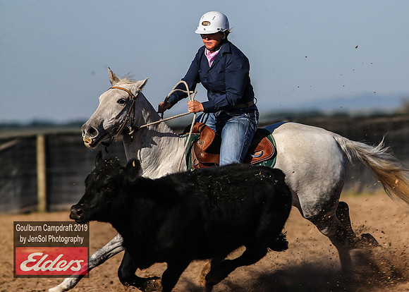 GoulburnCampdraft2019_3187