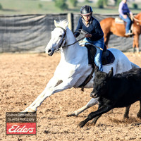 GoulburnCampdraft2019_2837