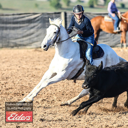 GoulburnCampdraft2019_2837