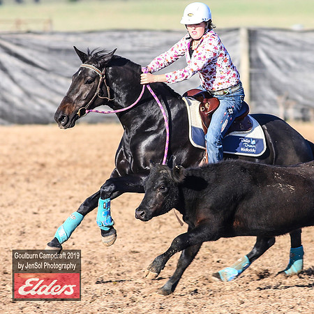 GoulburnCampdraft2019_2853