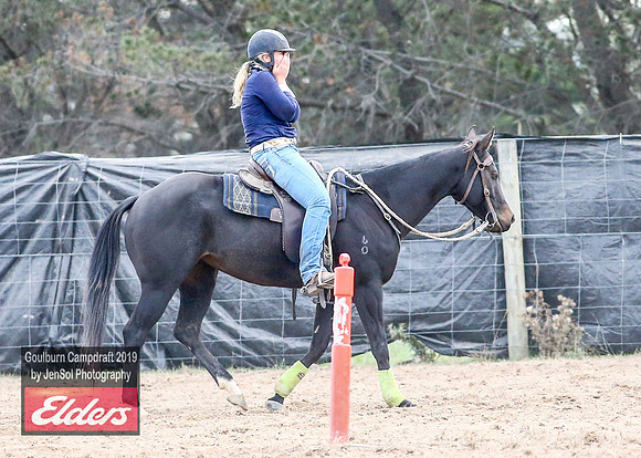 GoulburnCampdraft2019_5196