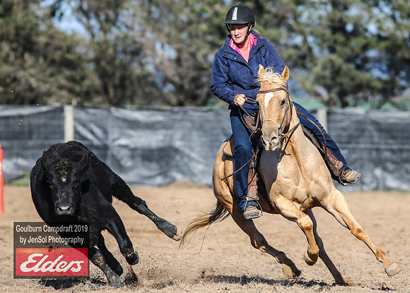 GoulburnCampdraft2019_3162