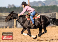 GoulburnCampdraft2019_2944