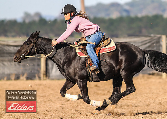 GoulburnCampdraft2019_2944