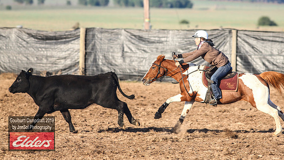 GoulburnCampdraft2019_2762
