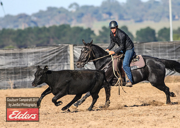 GoulburnCampdraft2019_3009