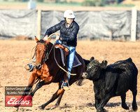GoulburnCampdraft2019_2785