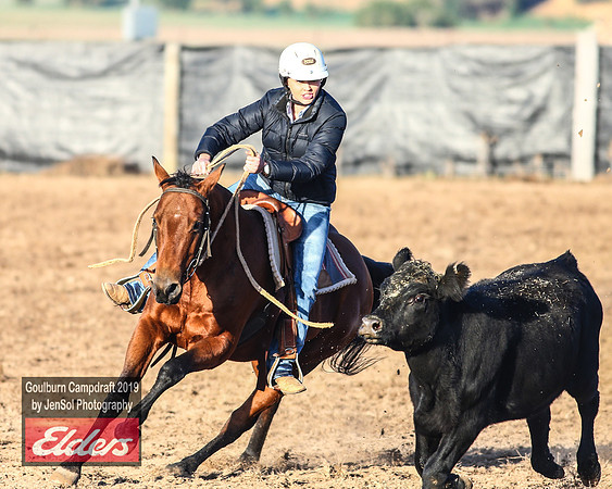 GoulburnCampdraft2019_2785