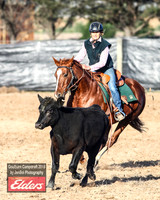 GoulburnCampdraft2019_2795