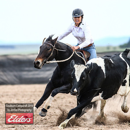 GoulburnCampdraft2019_5075