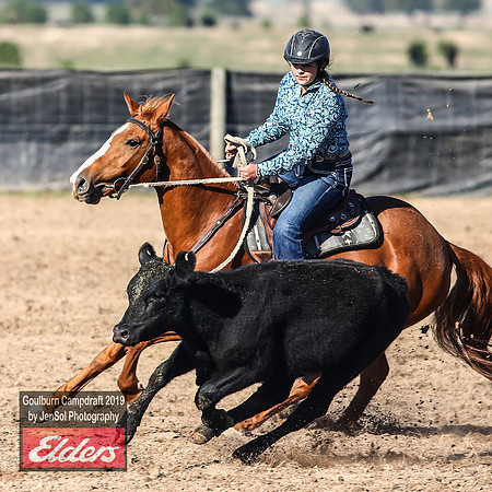 GoulburnCampdraft2019_3204