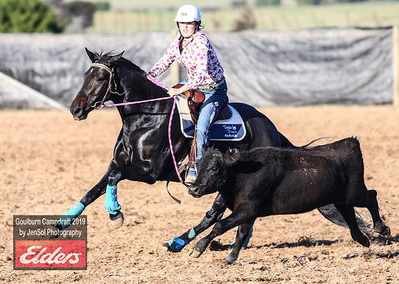 GoulburnCampdraft2019_2842