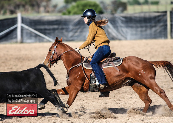 GoulburnCampdraft2019_3231