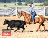 GoulburnCampdraft2019_2814