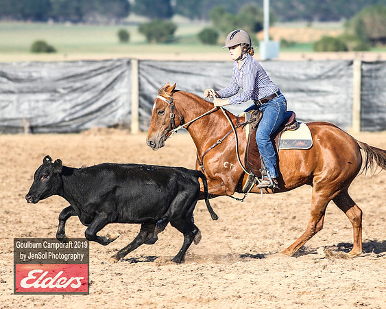 GoulburnCampdraft2019_2814