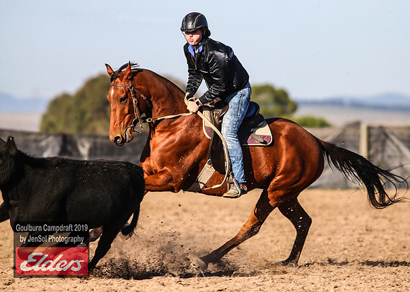 GoulburnCampdraft2019_2964