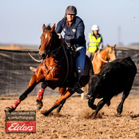 GoulburnCampdraft2019_2930