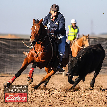 GoulburnCampdraft2019_2930
