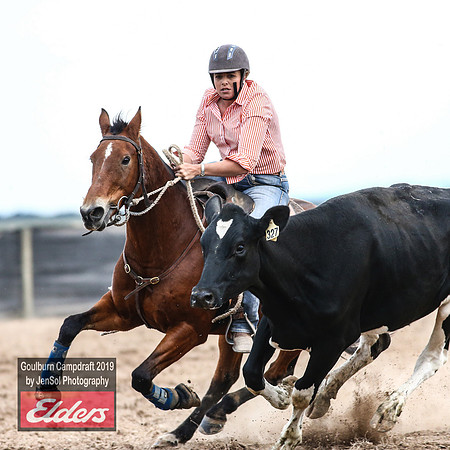 GoulburnCampdraft2019_5154