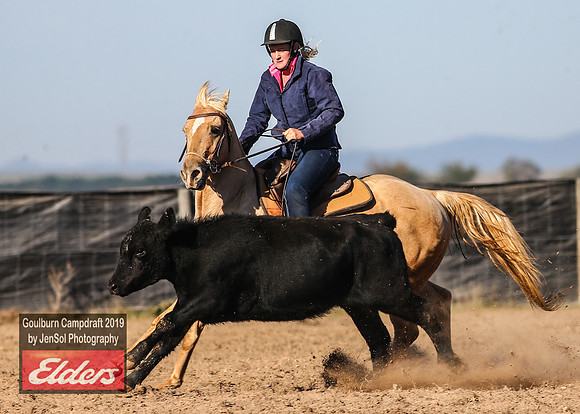GoulburnCampdraft2019_3154