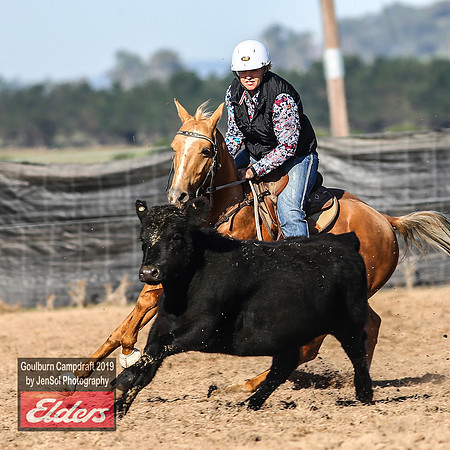 GoulburnCampdraft2019_3115