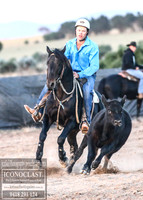 GoulburnCampdraft2018_0387