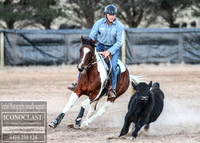 GoulburnCampdraft2018_0314