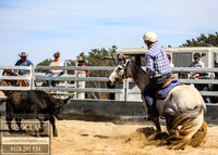 GoulburnCampdraft2018_0057