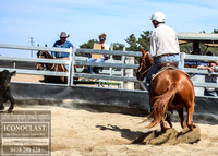 GoulburnCampdraft2018_0065