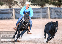 GoulburnCampdraft2018_0378