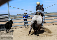 GoulburnCampdraft2018_0076