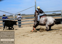 GoulburnCampdraft2018_0084