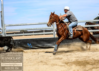 GoulburnCampdraft2018_0014