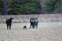 Taralga2015_1229