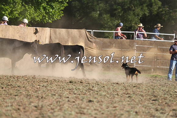 Taralga2015_1337