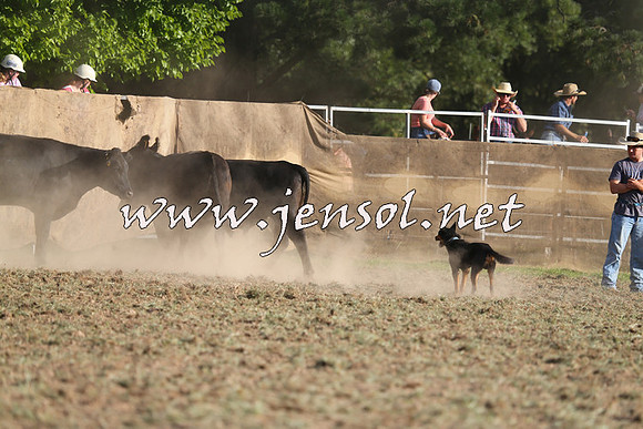 Taralga2015_1336