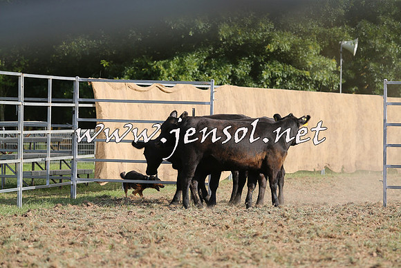 Taralga2015_1364