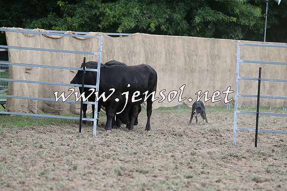 Taralga2015_1277