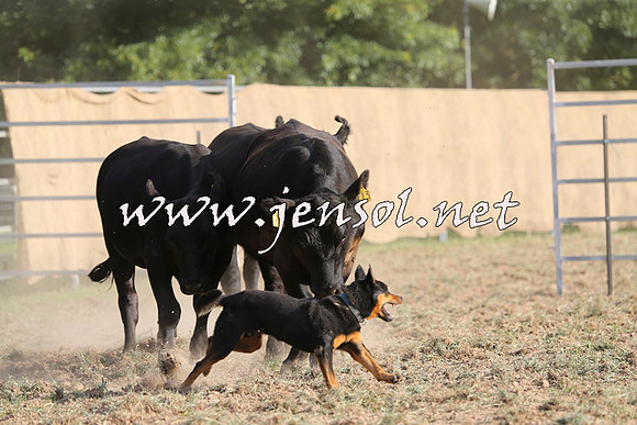 Taralga2015_1355