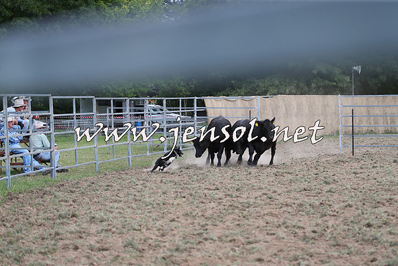 Taralga2015_1281