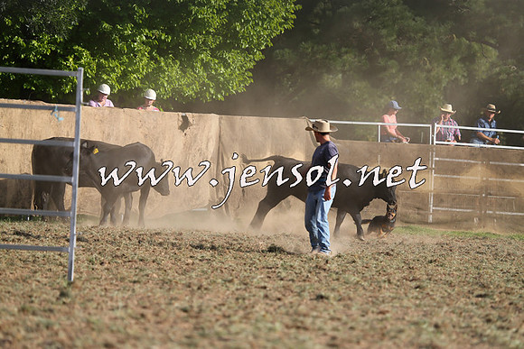 Taralga2015_1341