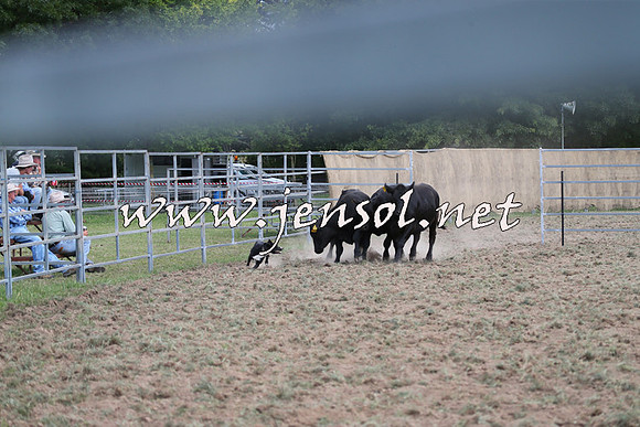 Taralga2015_1283
