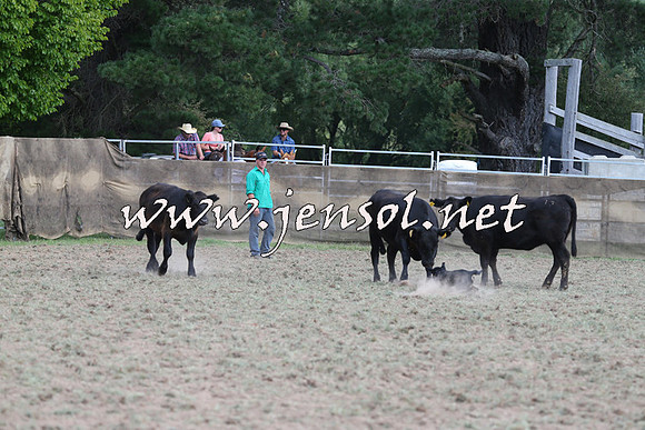 Taralga2015_1298