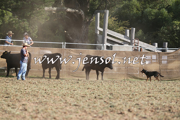 Taralga2015_1317