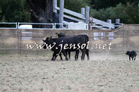 Taralga2015_1250