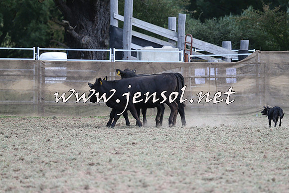 Taralga2015_1250