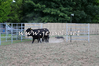 Taralga2015_1226