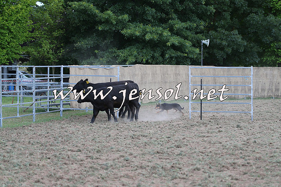 Taralga2015_1226