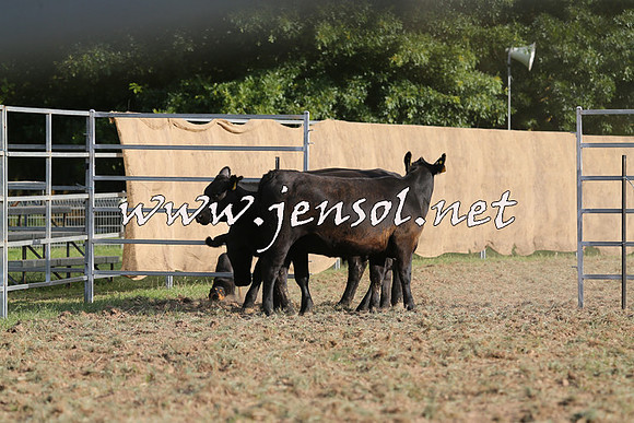Taralga2015_1363
