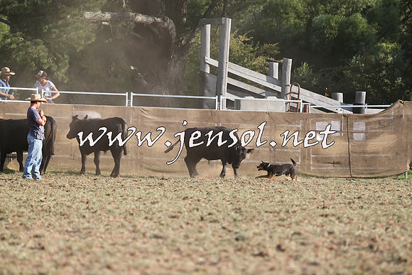 Taralga2015_1322